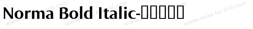 Norma Bold Italic字体转换
